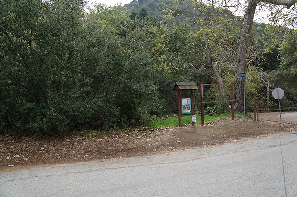 DSC07852