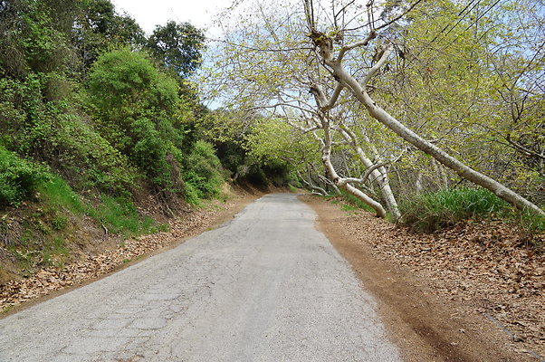 DSC07857