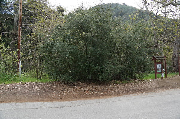 DSC07849