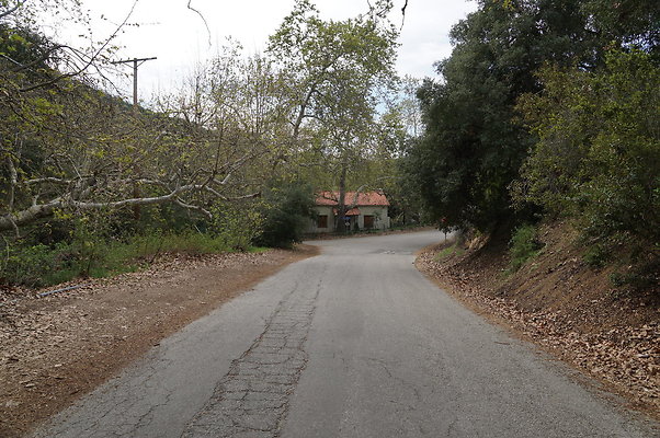 DSC07842