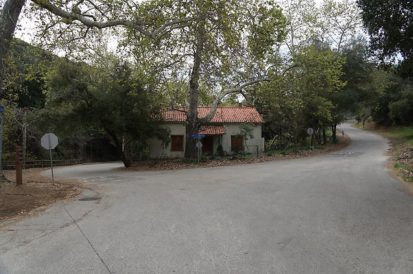 DSC07848a