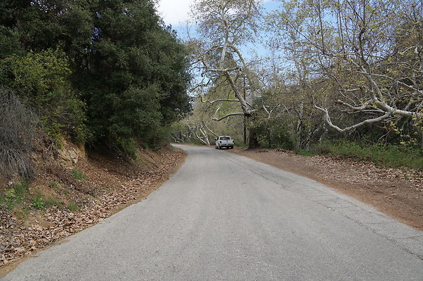 DSC07856
