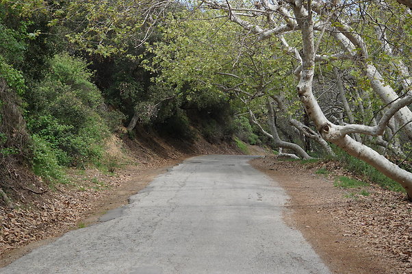 DSC07858