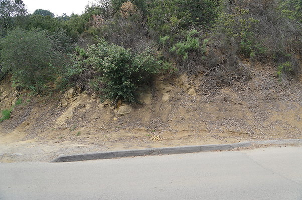 DSC07971