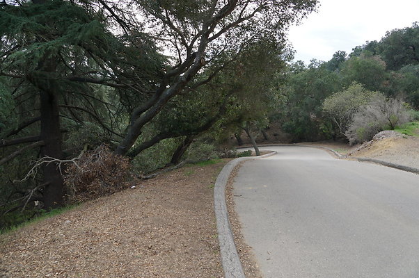 DSC07969
