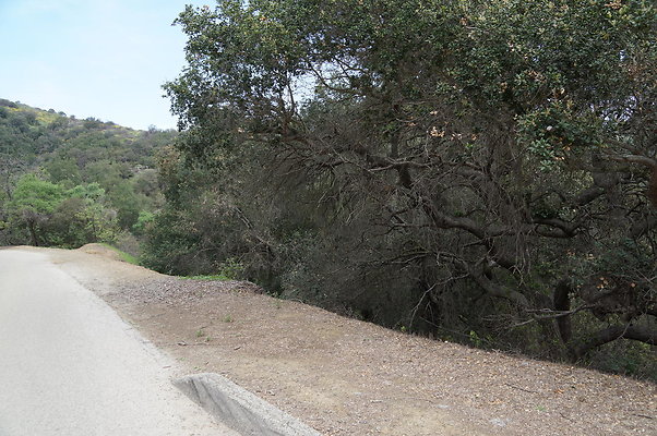 DSC07974