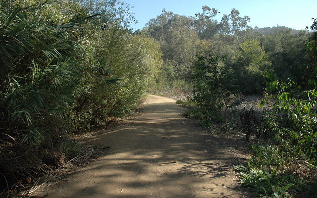 DSC 0143