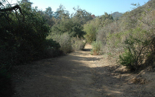DSC 0138