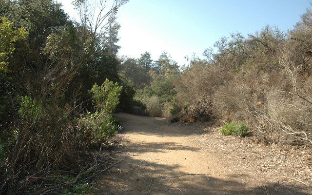 DSC 0135