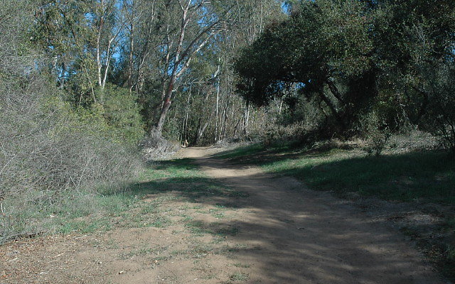 DSC 0112