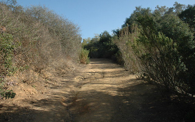 DSC 0139