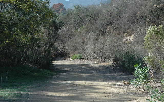 DSC 0129