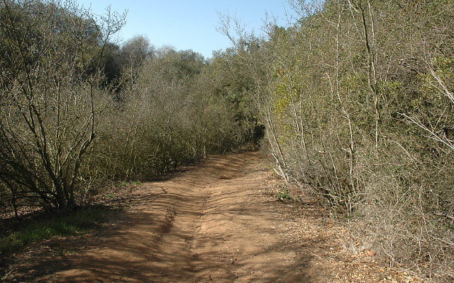 DSC 0108