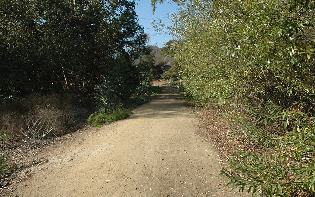 DSC 0141