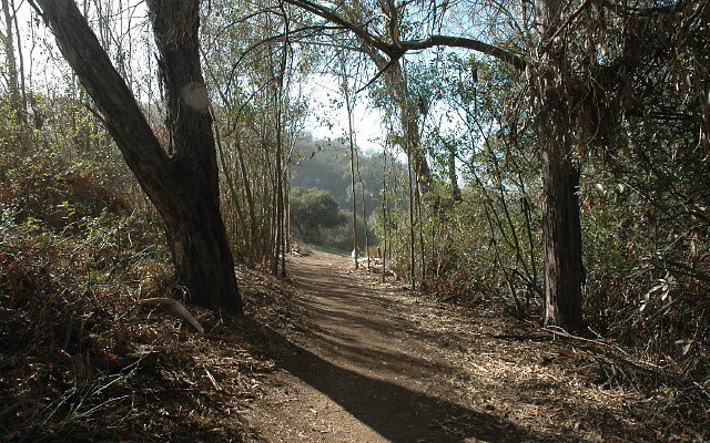 DSC 0118