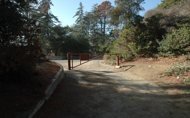 DSC 0146