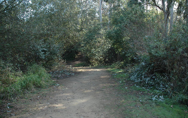 DSC 0127