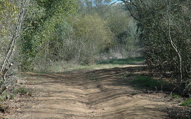 DSC 0105
