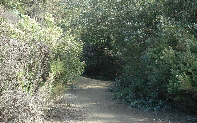 DSC 0131