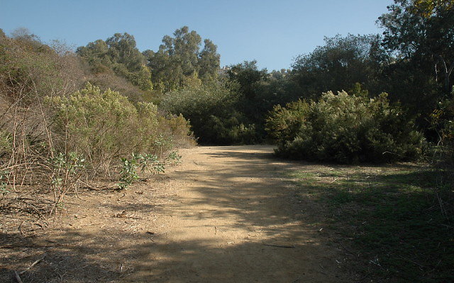 DSC 0134