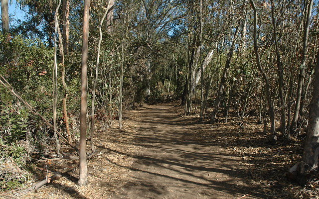 DSC 0117