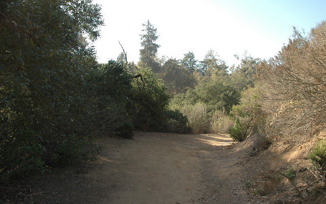DSC 0136
