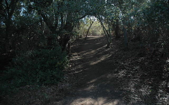 DSC 0123