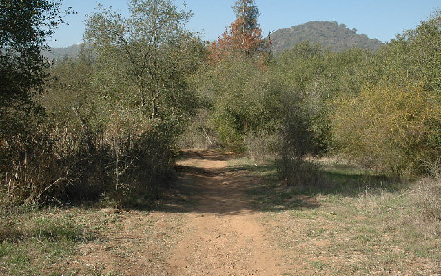 DSC 0111
