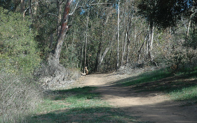 DSC 0113