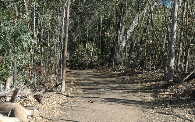 DSC 0115