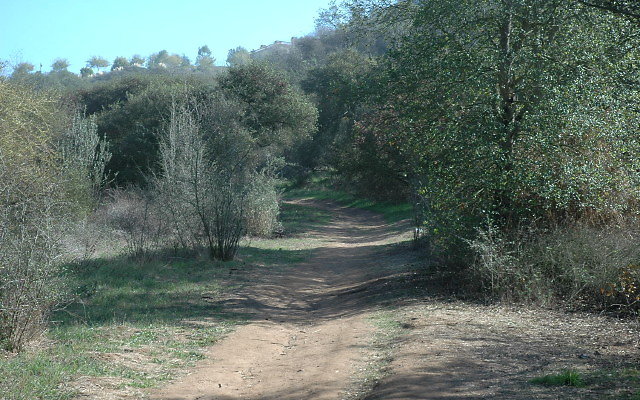DSC 0107