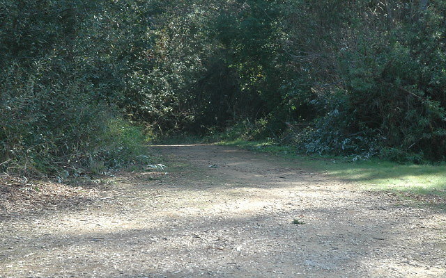 DSC 0130