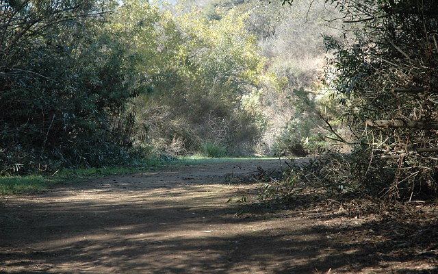 DSC 0125