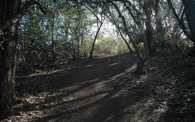 DSC 0121