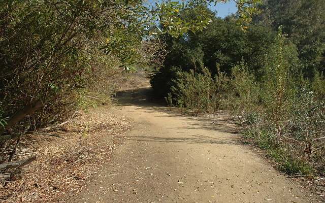 DSC 0142