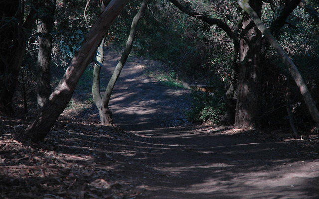 DSC 0119