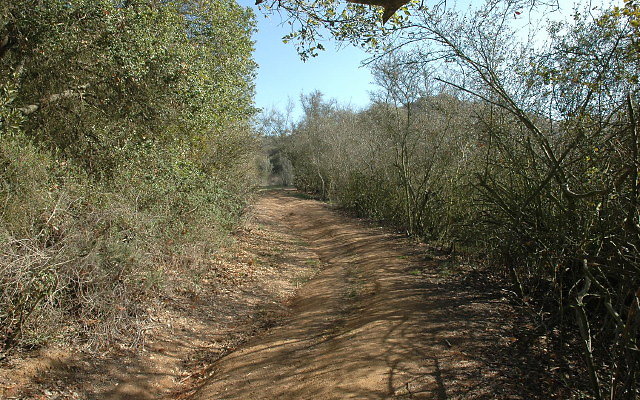 DSC 0104