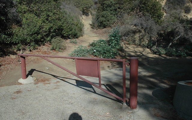 DSC 0147