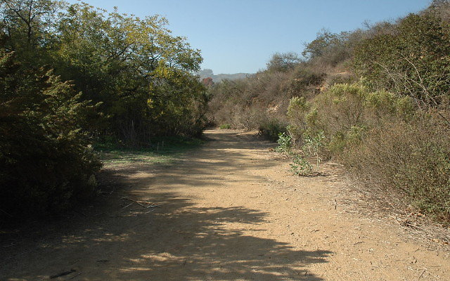 DSC 0128