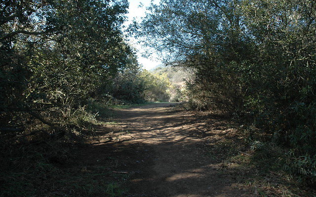 DSC 0124