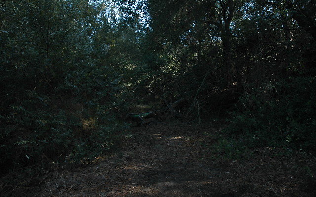 DSC 0122