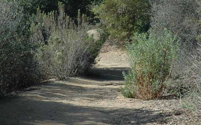 DSC 0137