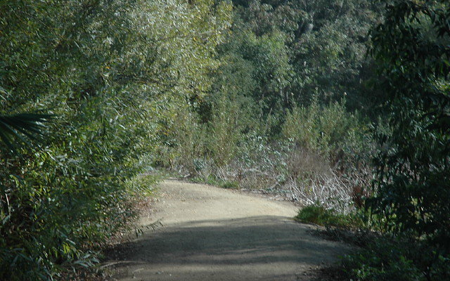 DSC 0144