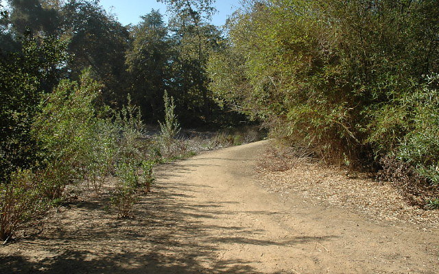 DSC 0140