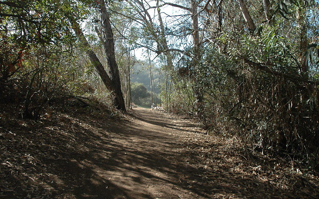 DSC 0120