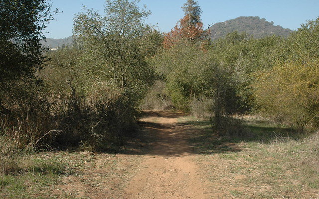DSC 0110