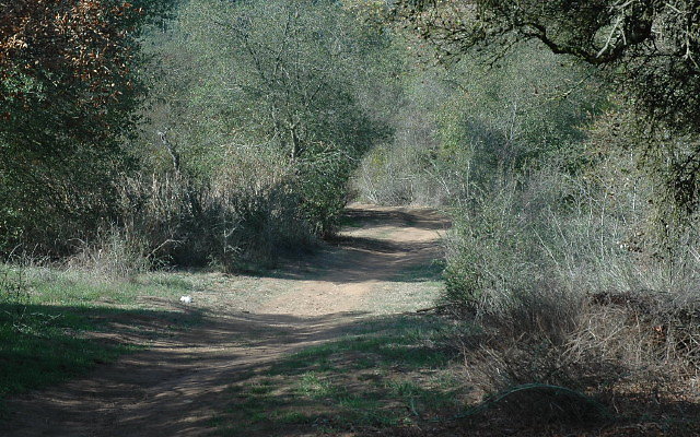 DSC 0114