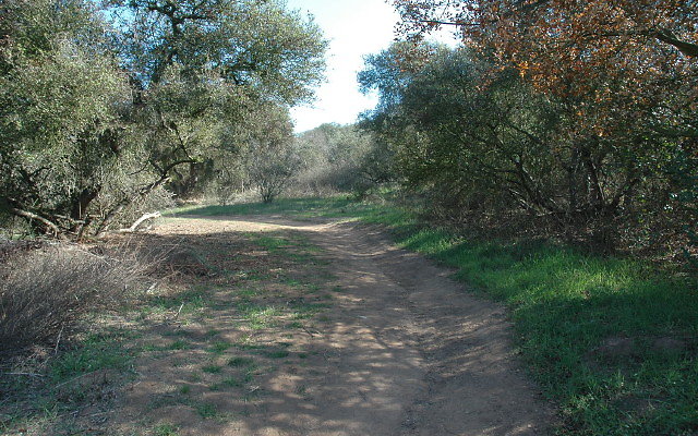DSC 0109