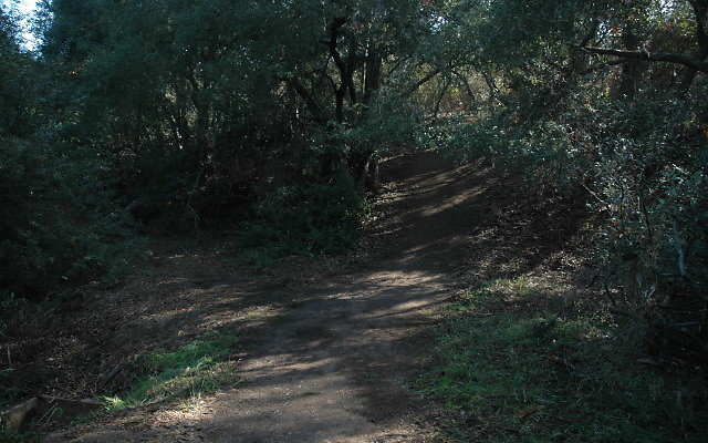 DSC 0126