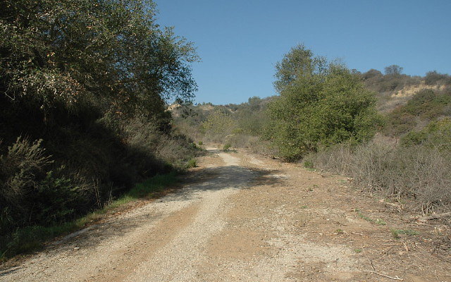 DSC 0046